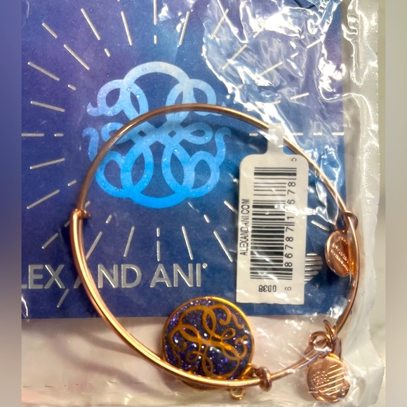 Alex and Ani “Path of Life” Color Infusion Charm Bangle NWT Original Packaging - Picture 3 of 4